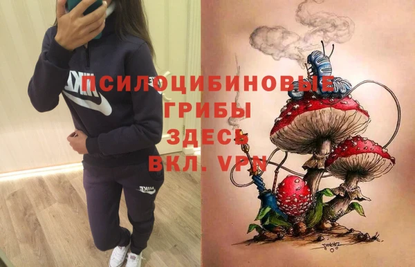 спайс Нефтекумск