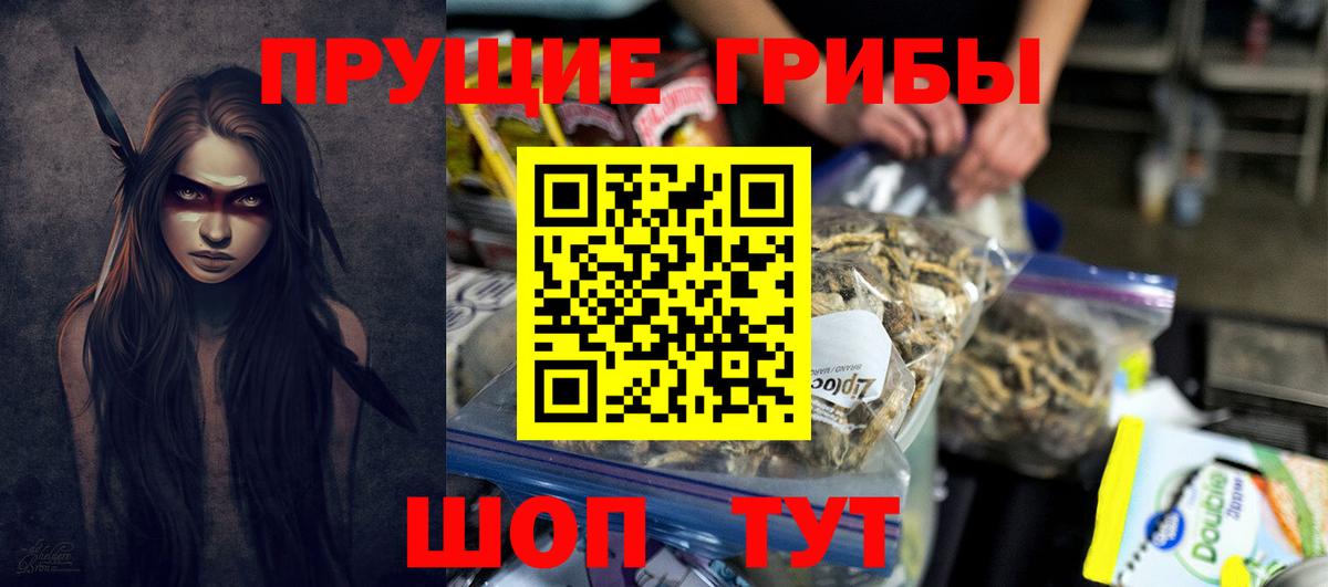 сколько стоит  Кировск  Псилоцибиновые грибы Psilocybe  Галлюциногенные грибы мухоморы 