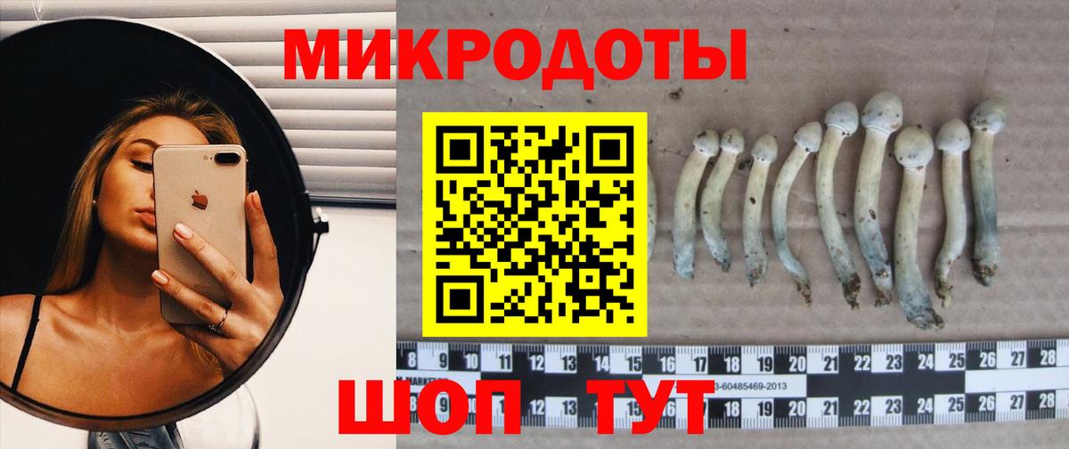 Псилоцибиновые грибы ЛСД  Псилоцибиновые грибы Psilocybe  Кировск  Вход с VPN 