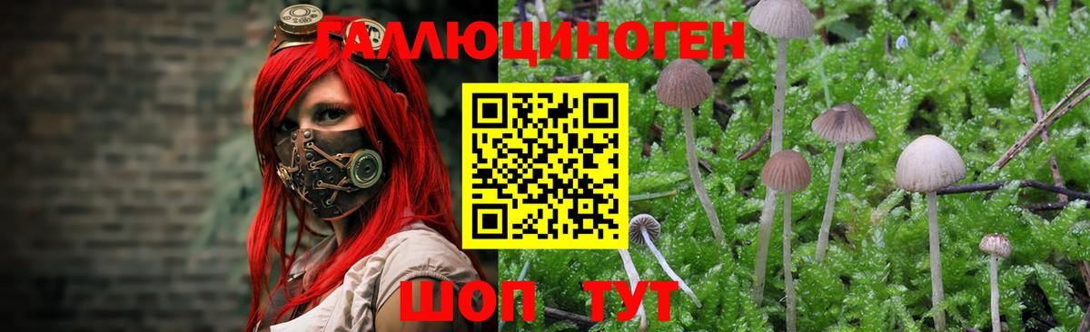 Псилоцибиновые грибы мухоморы Кировск